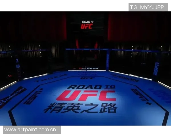 MMA格斗之夜：KO瞬间集锦
